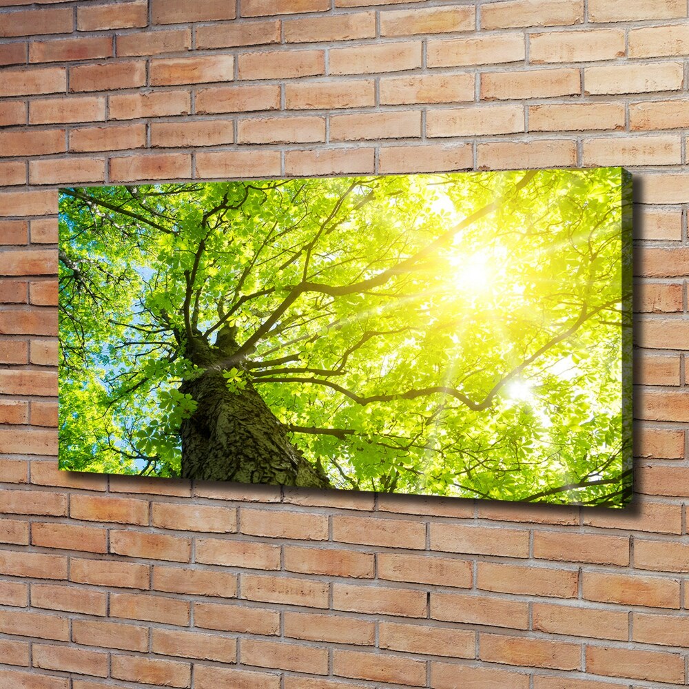 Canvas wall art Chestnut in spring