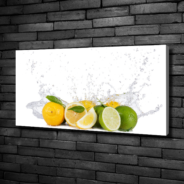 Canvas wall art Citruses and water