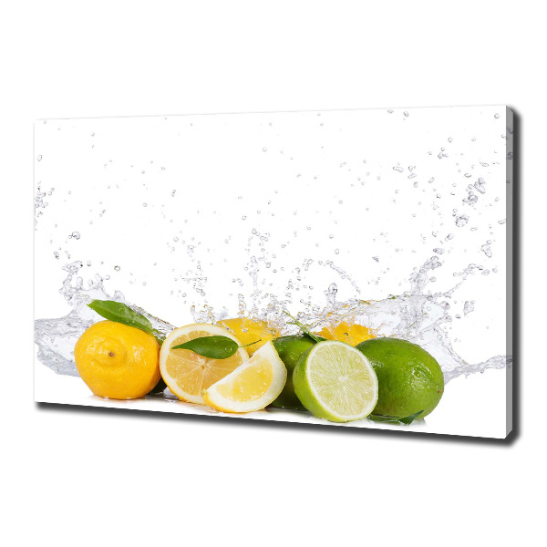 Canvas wall art Citruses and water