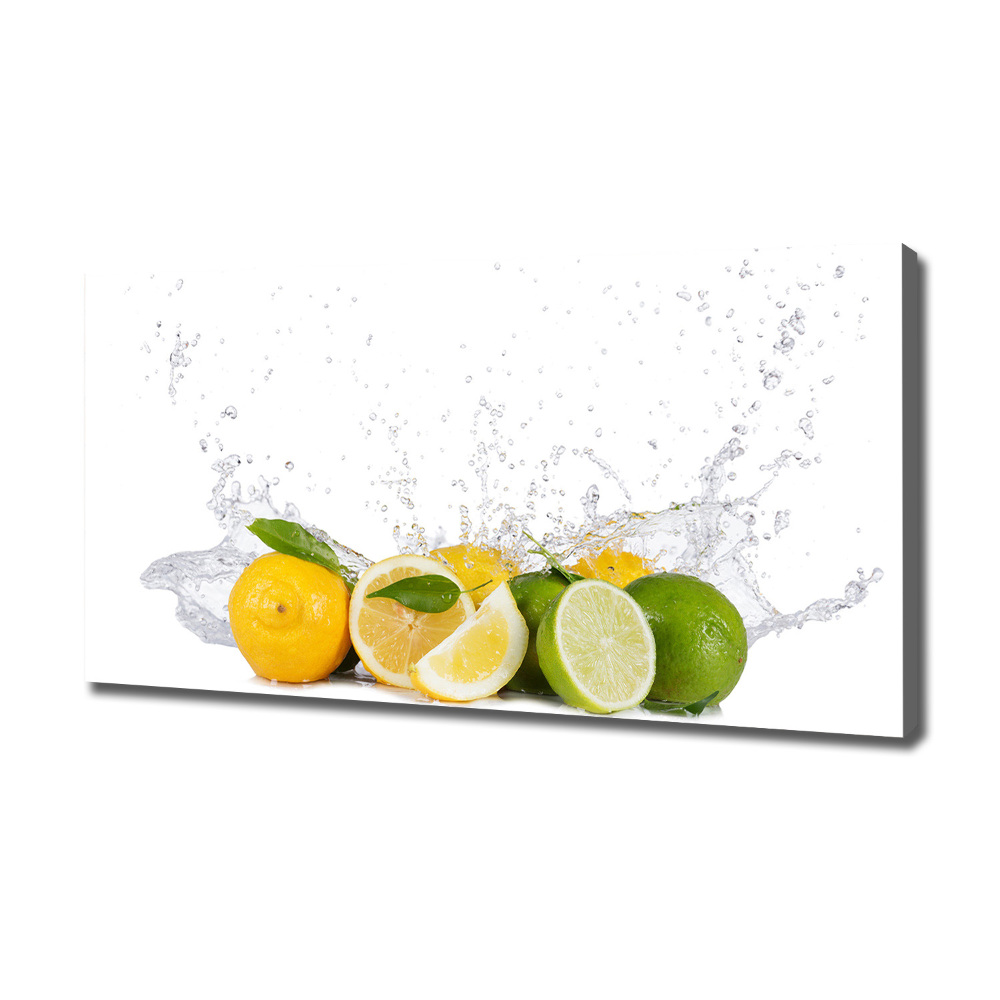 Canvas wall art Citruses and water