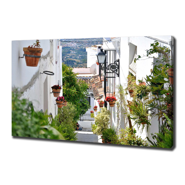 Canvas wall art Charming street