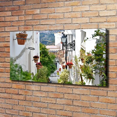 Canvas wall art Charming street