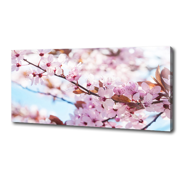 Canvas wall art Cherry blossoms