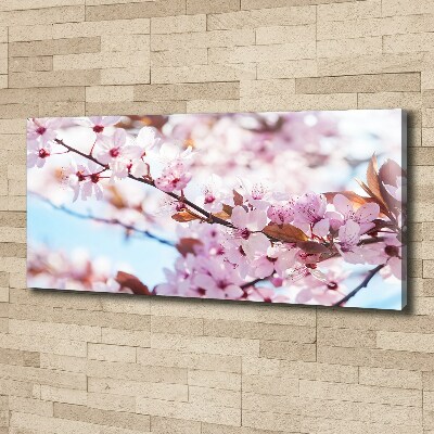 Canvas wall art Cherry blossoms