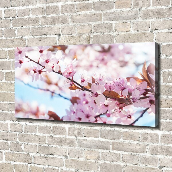 Canvas wall art Cherry blossoms