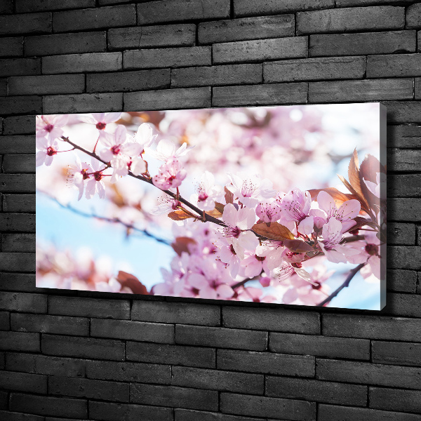 Canvas wall art Cherry blossoms