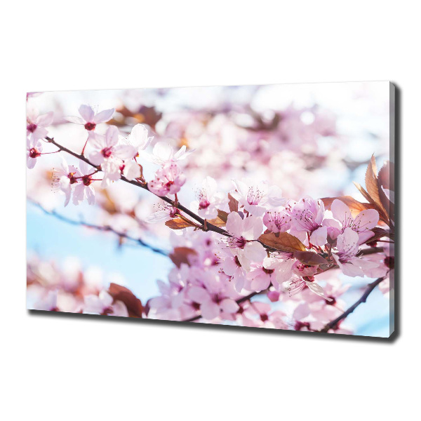 Canvas wall art Cherry blossoms