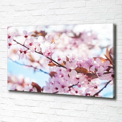 Canvas wall art Cherry blossoms