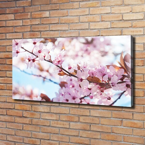 Canvas wall art Cherry blossoms