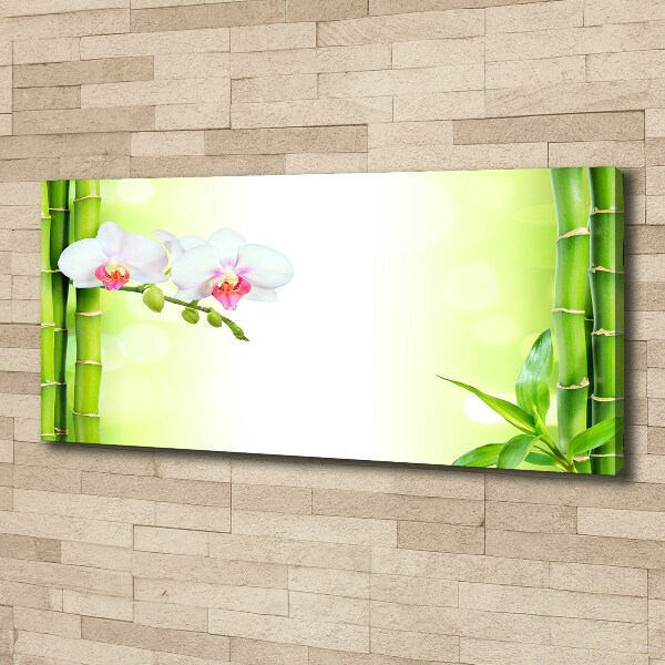 Canvas wall art Orchid and bamboo