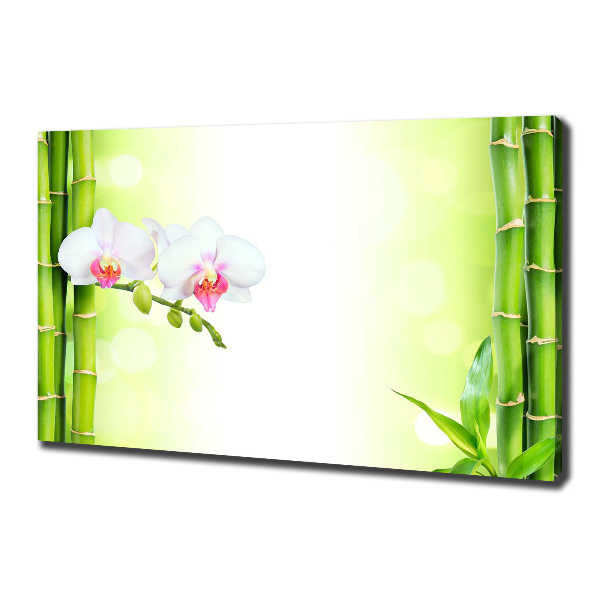 Canvas wall art Orchid and bamboo