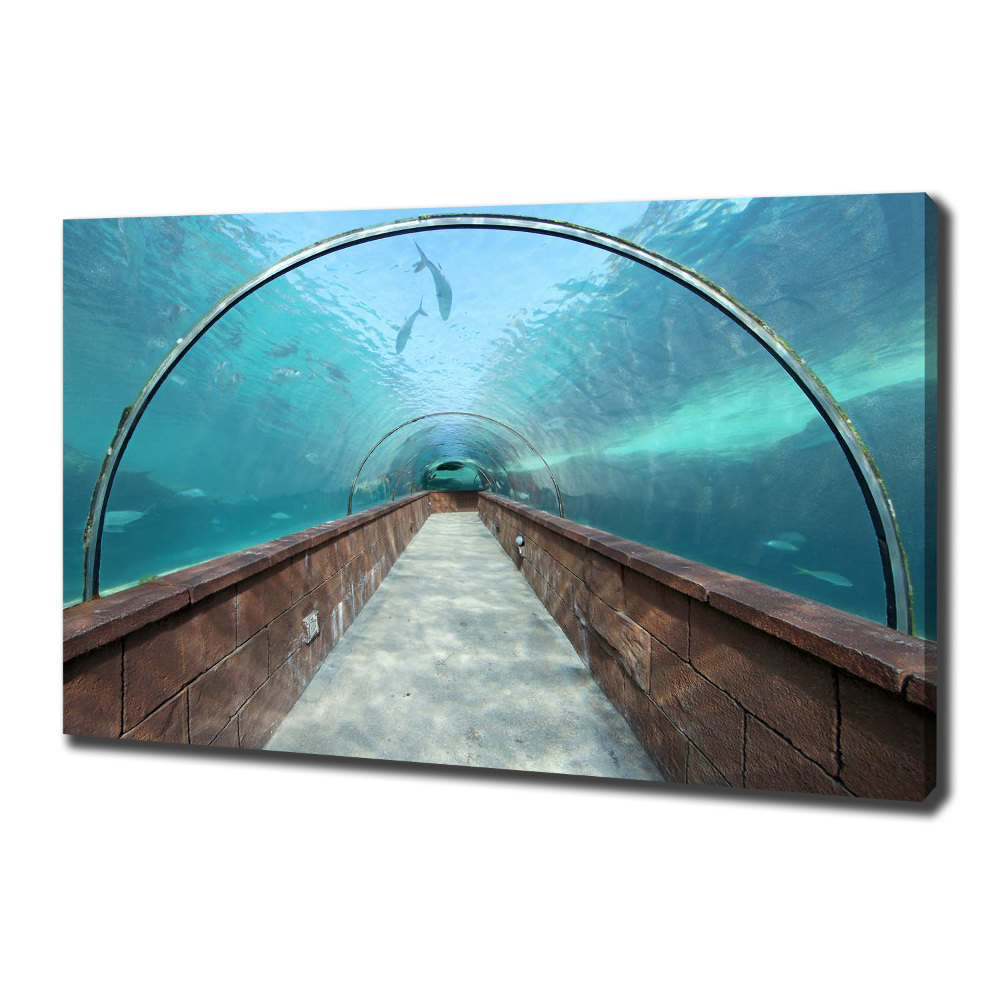 Canvas wall art Aquarium tunnel