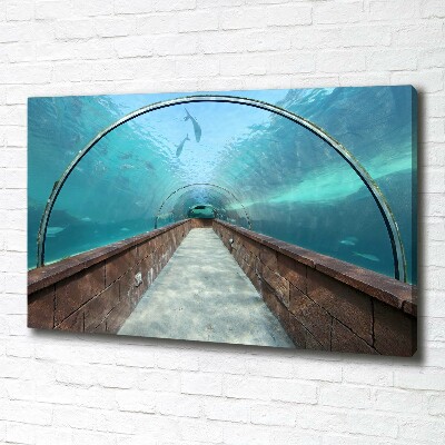 Canvas wall art Aquarium tunnel