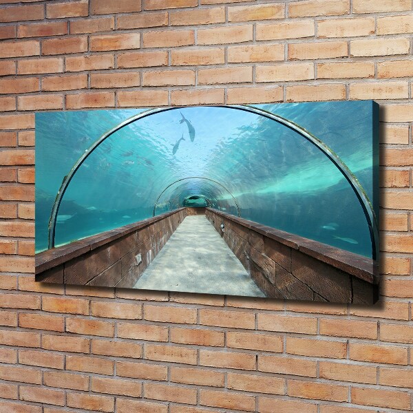 Canvas wall art Aquarium tunnel