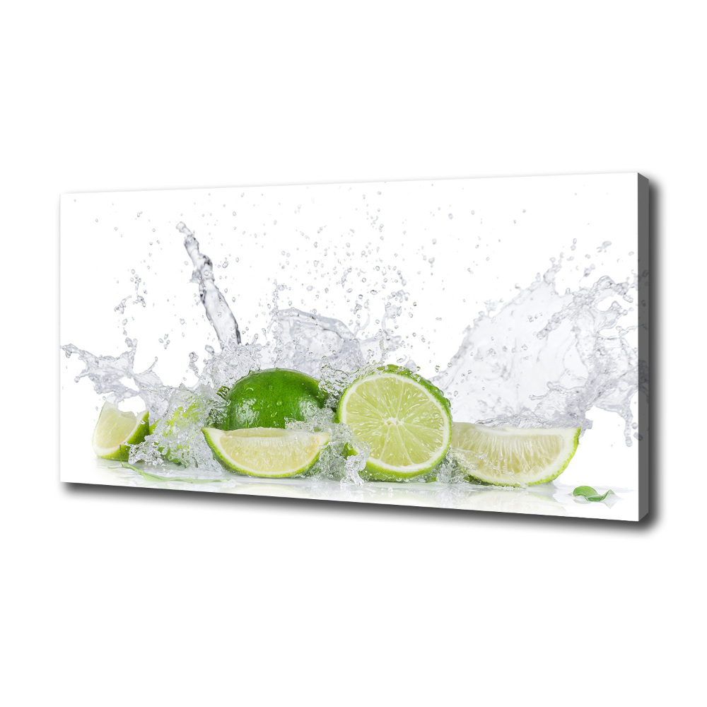 Canvas wall art Lime and water