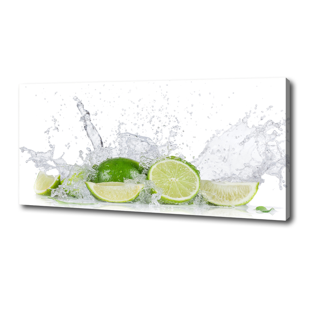 Canvas wall art Lime and water