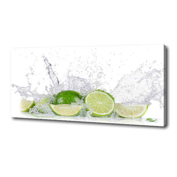 Canvas wall art Lime and water