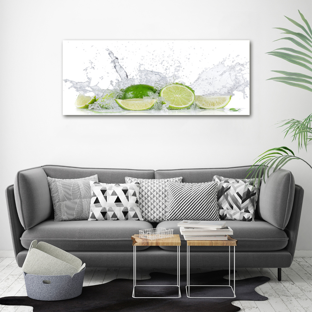 Canvas wall art Lime and water