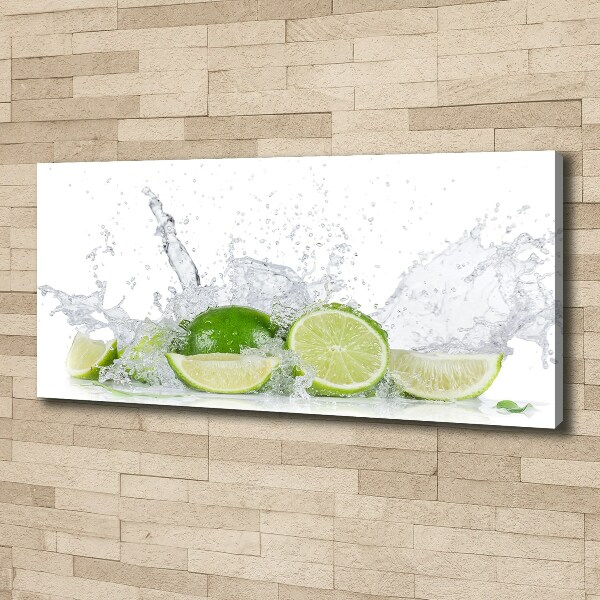 Canvas wall art Lime and water