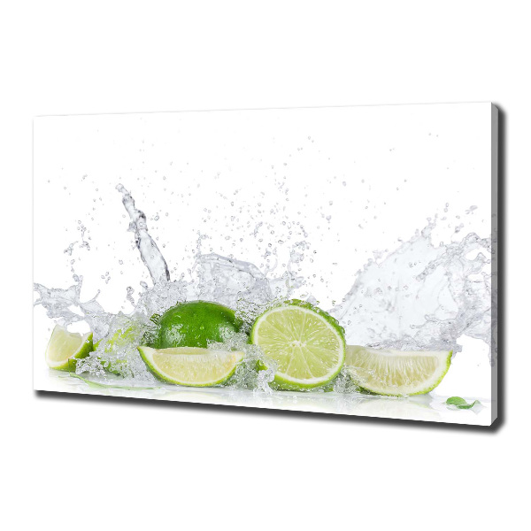 Canvas wall art Lime and water