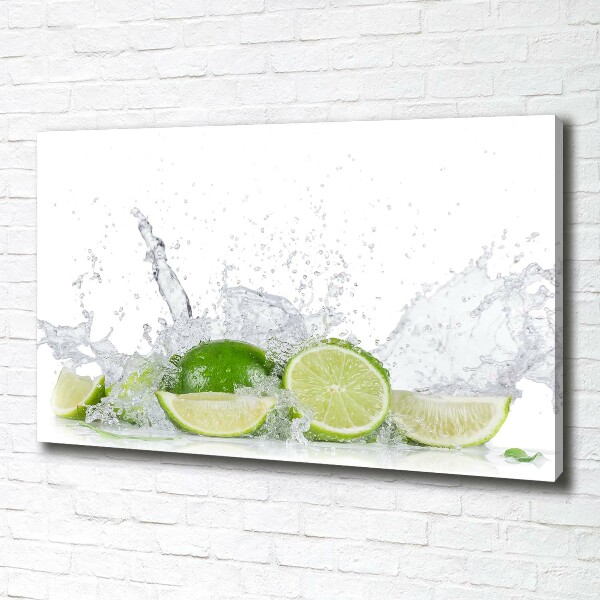 Canvas wall art Lime and water