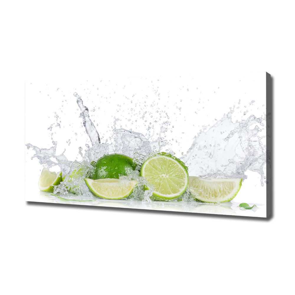 Canvas wall art Lime and water