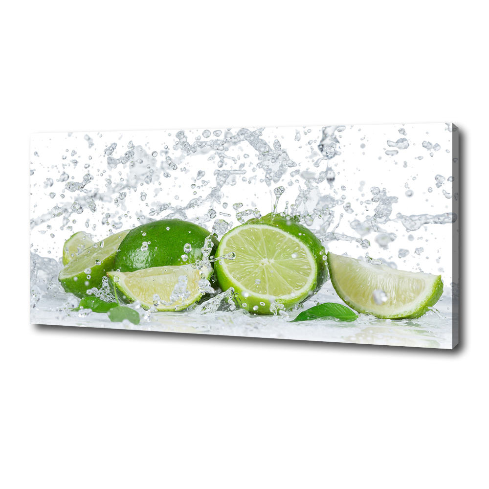 Canvas wall art Lime and water