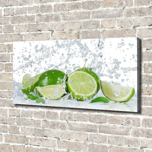 Canvas wall art Lime and water