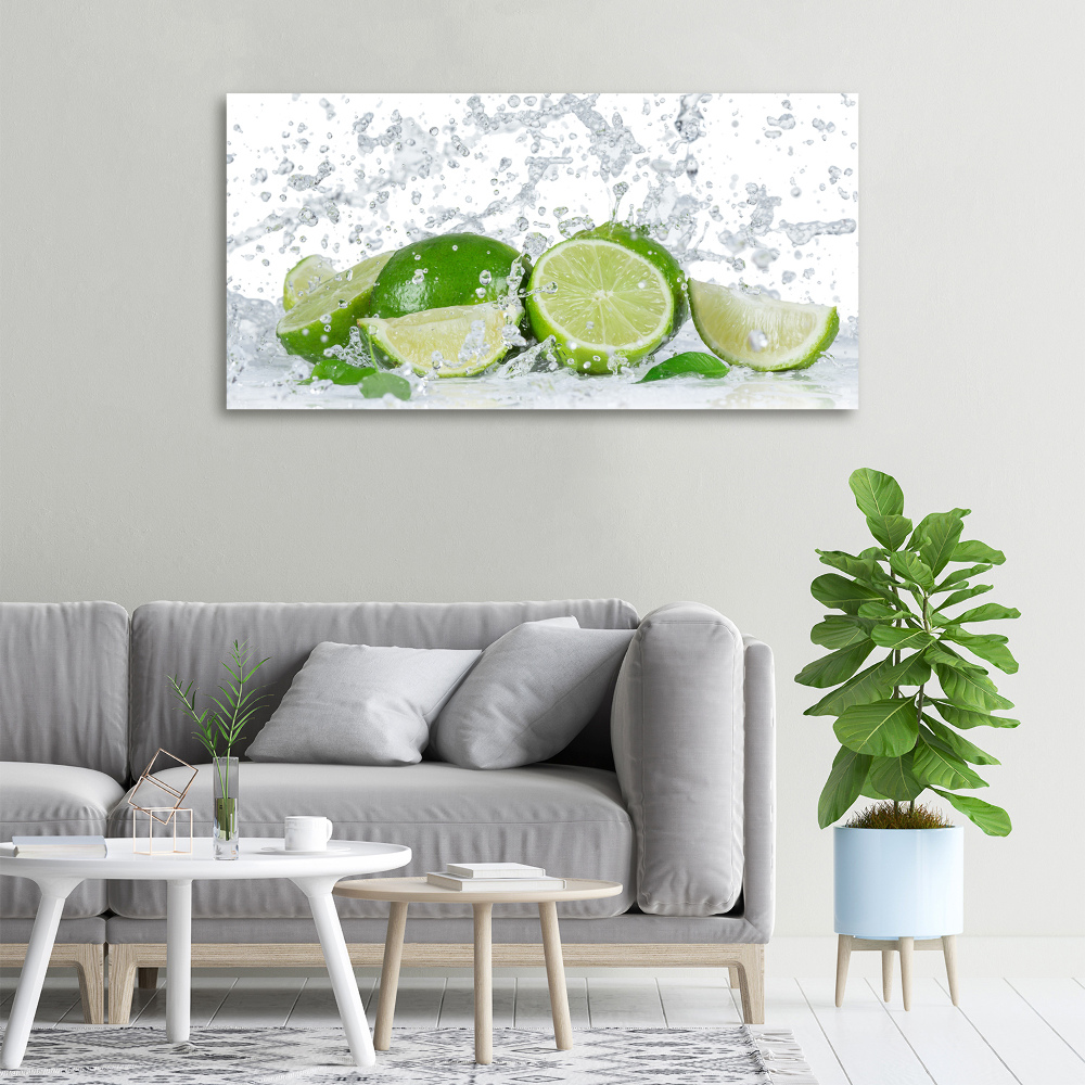 Canvas wall art Lime and water