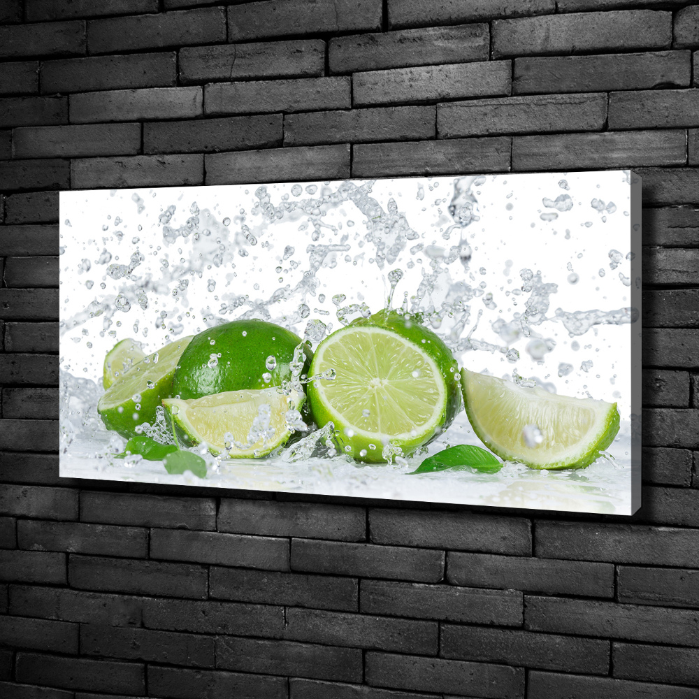 Canvas wall art Lime and water