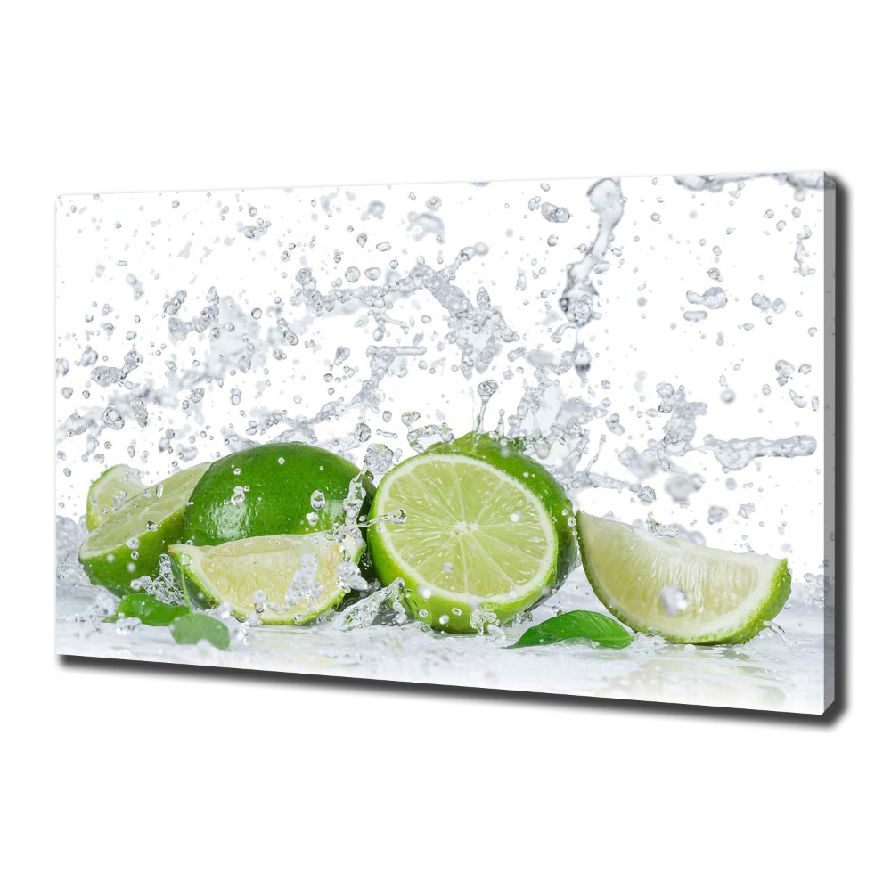 Canvas wall art Lime and water