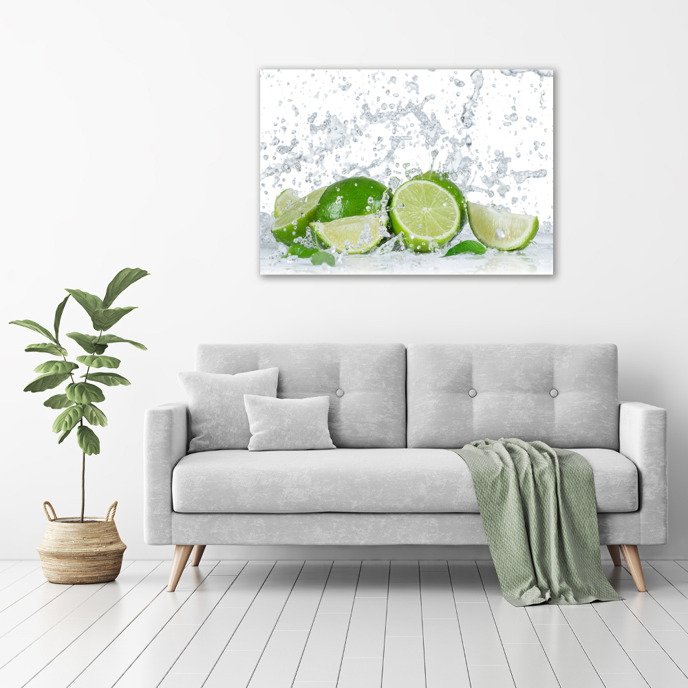 Canvas wall art Lime and water