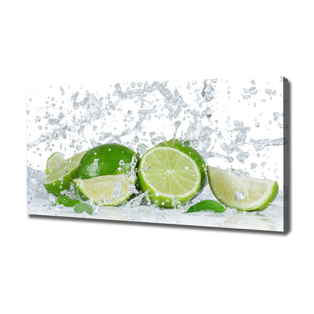 Canvas wall art Lime and water