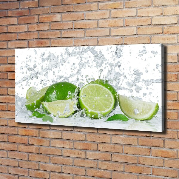 Canvas wall art Lime and water