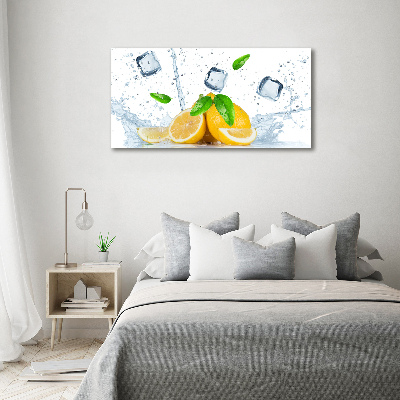 Canvas wall art Ice lemons