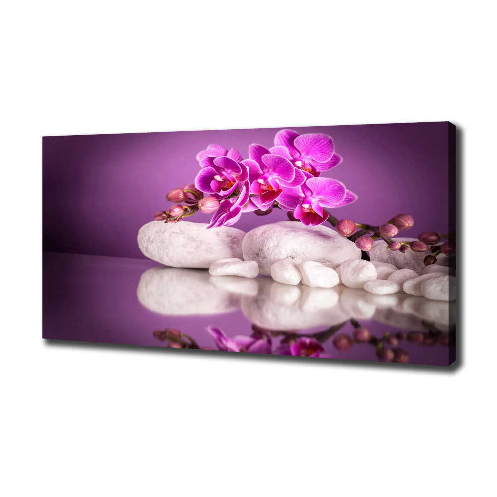 Canvas wall art Pink orchid