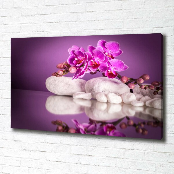 Canvas wall art Pink orchid