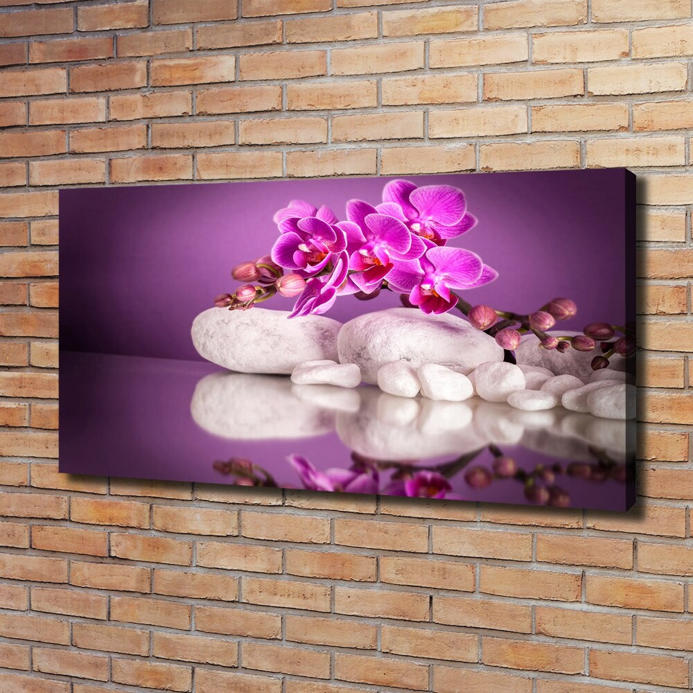 Canvas wall art Pink orchid