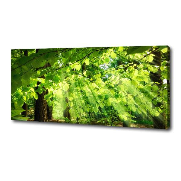 Canvas wall art Beech leaves