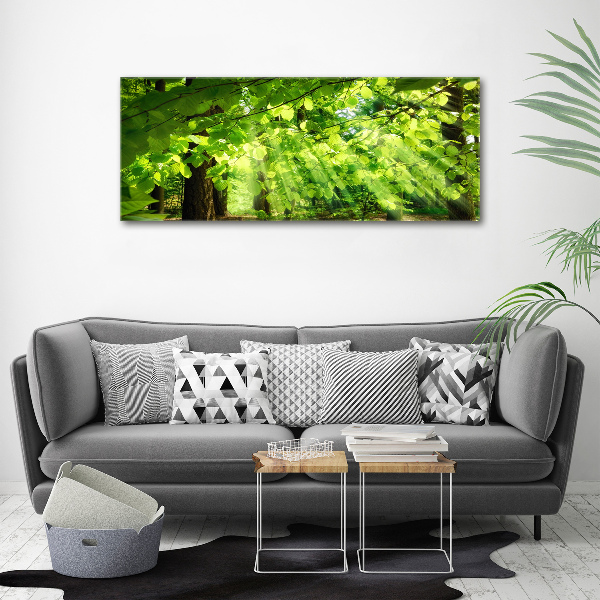 Canvas wall art Beech leaves