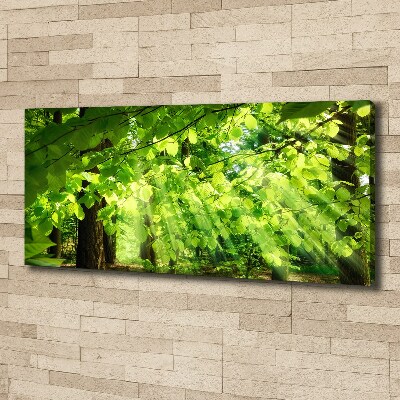 Canvas wall art Beech leaves