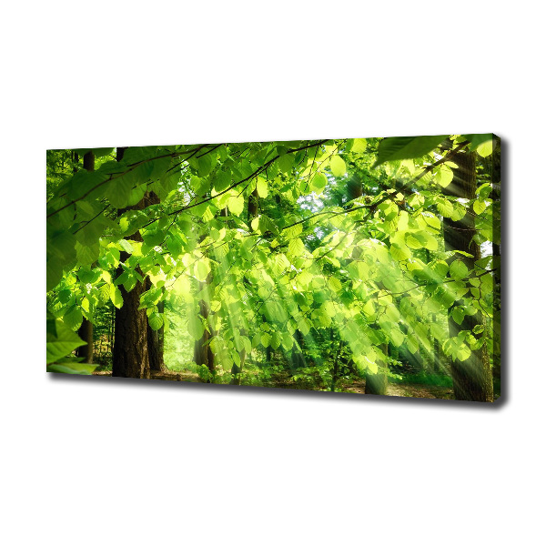 Canvas wall art Beech leaves