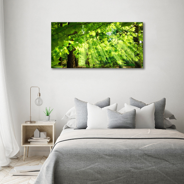 Canvas wall art Beech leaves