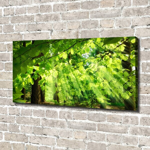 Canvas wall art Beech leaves