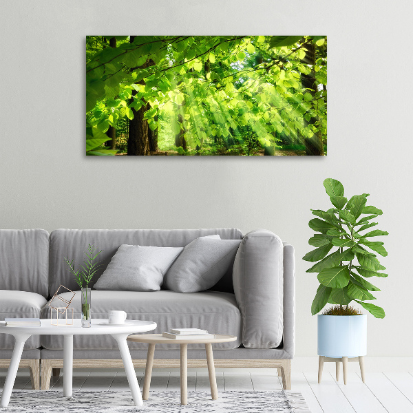 Canvas wall art Beech leaves