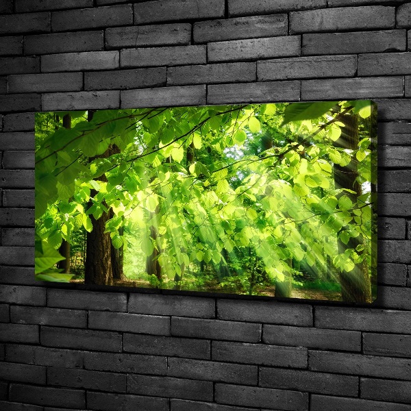 Canvas wall art Beech leaves