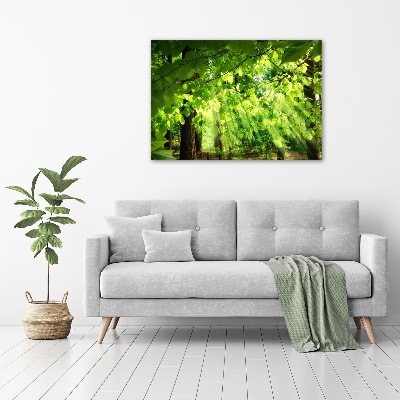 Canvas wall art Beech leaves