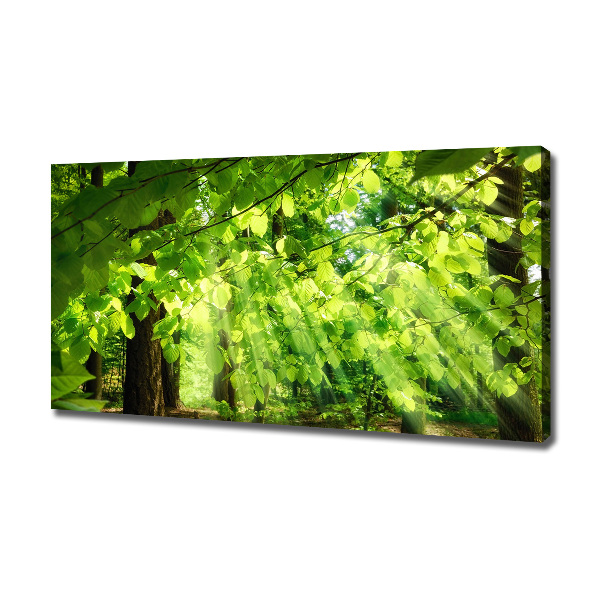 Canvas wall art Beech leaves