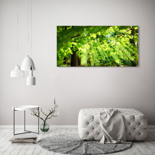 Canvas wall art Beech leaves