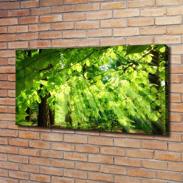 Canvas wall art Beech leaves